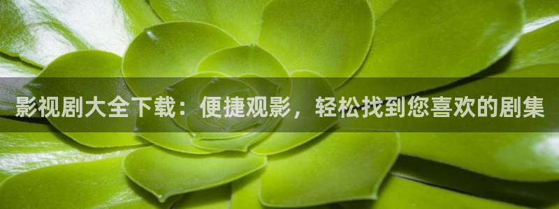 轨道电影网