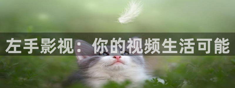 裸眼3d弧幕轨道影院：左手影视：你的视频生活可能