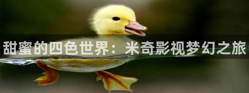 环幕轨道飞行影院