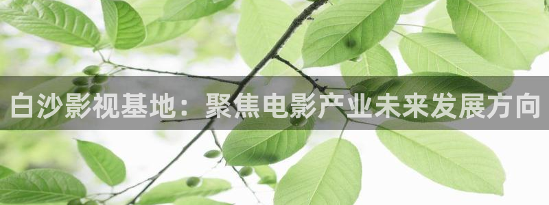 基本轨道电影