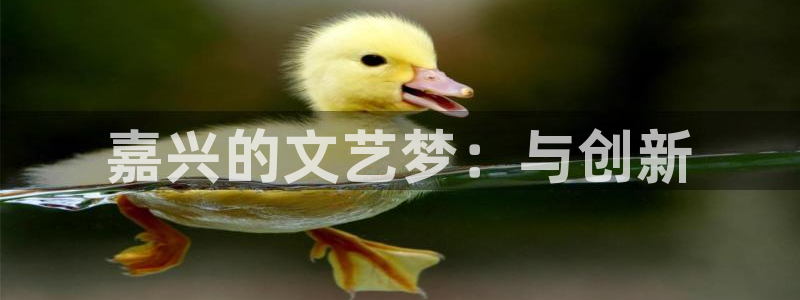 轨道5d影院